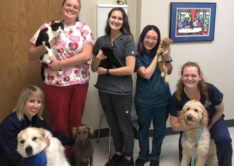 to Riverside Animal Hospital!